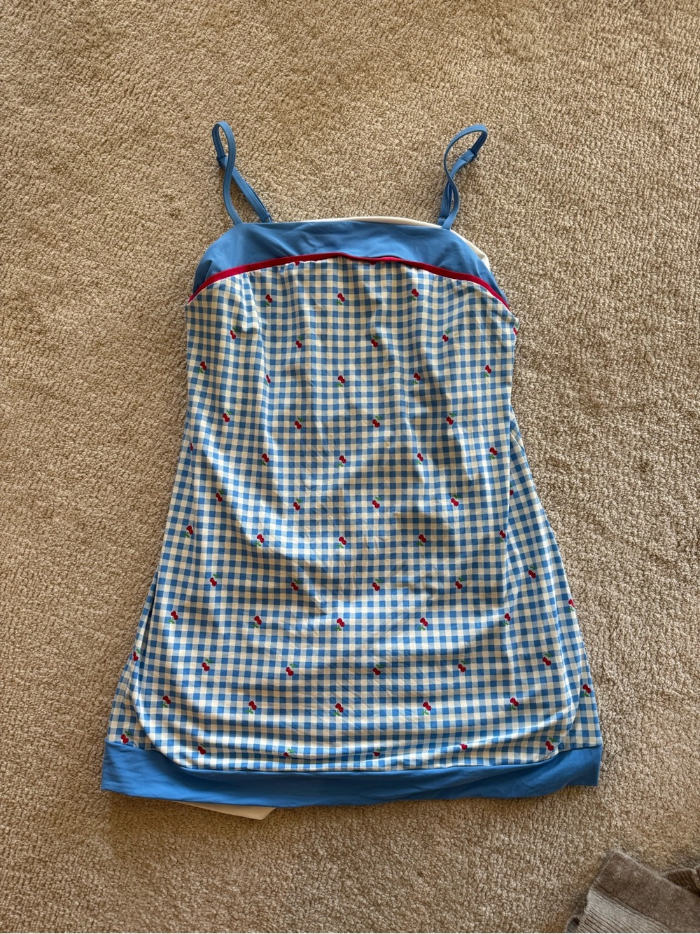 Target Blue Gingham Slip Dress with Red Accents